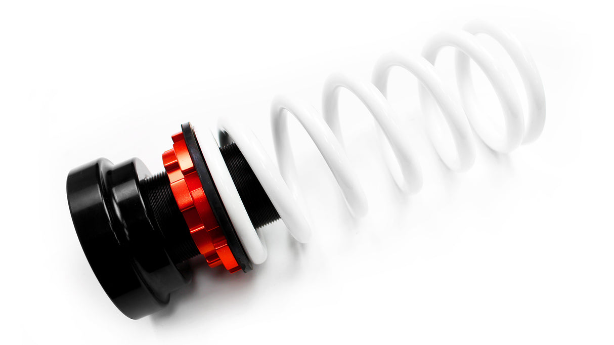 DGR Coilovers | Street Series (Ford Mustang S-197)