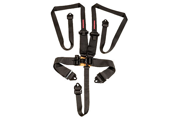 Raceworks Racing Harnesses - 4 Point, 5 Point, 6 Point - ModsDirect