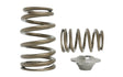 Kelford Cams - Beehive Springs With Titanium Retainers | SR16-20VE