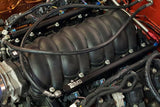 Radium Fuel Rails - GM LS Engine