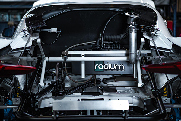 Radium Fuel Cell Weld In Cage- 6 Gallon