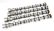 Kelford Cams - Ford Coyote Gen2 5.0L With Voodoo Head Swap Camshafts (Camshaft Duration- 298°/292° | 15.00mm/14.00mm NA St...