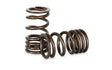 Kelford Cams - 3/4/5K Valve Spring Set