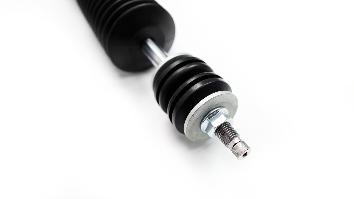 DGR Coilovers | Street Series (Toyota Echo XP10)