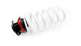 DGR Coilovers | Street Series (Mercedes Benz CLK W209 C209 A209)