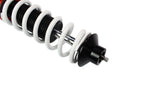 DGR Coilovers | Street Series (Honda Jazz GE)