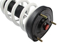 DGR Coilovers | Street Series (Subaru Impreza / WRX GDB PCD 5X100)