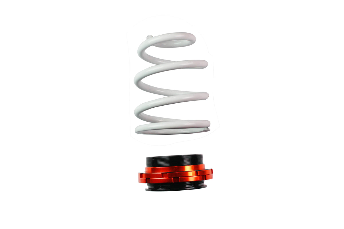 DGR Coilovers | Street Series (Honda Civic 8 FA FG FK FN FD)