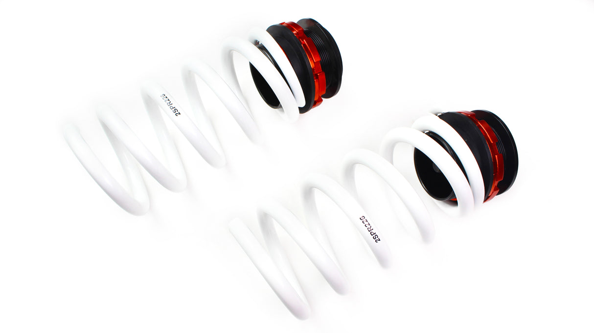 DGR Coilovers | RC Racing Series (Mercedes-Benz C Class W201)