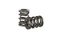 Kelford Cams - Honda B16A B18C Racing Spring Set