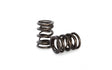 Kelford Cams - 109E-116E 997-1600cc Valve Spring Set