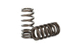 Kelford Cams - Barra Race Spring Set