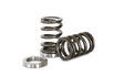 Kelford Cams - CA18 Valve Spring Set