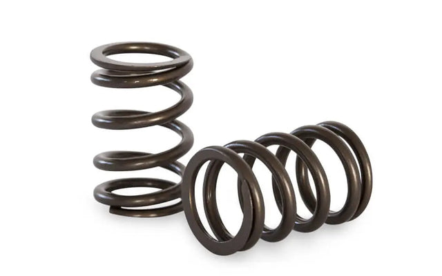Kelford Cams - Formula Ford Valve Spring Set
