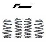 RacingLine Sport Springs VW Golf MK8 GTI, Cupra Leon