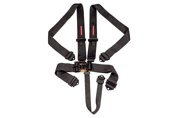 Raceworks Racing Harnesses - 4 Point, 5 Point, 6 Point - ModsDirect