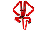 Raceworks Racing Harnesses - 4 Point, 5 Point, 6 Point - ModsDirect