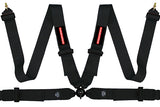 Raceworks Racing Harnesses - 4 Point, 5 Point, 6 Point - ModsDirect