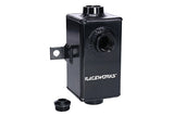 Raceworks Catch Cans - ModsDirect