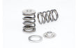 Kelford Cams - RB25 NVCS/VCT Valve Spring & Titanium Retainer Kit
