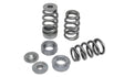 Kelford Cams - GR Yaris G16E-GTS Extreme Beehive Springs