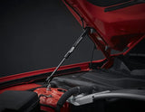Ford Genuine Hood Strut Kit for Mustang, supporting hood with durable construction for efficient engine access.